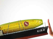 中国退回54万吨美国输华转基因玉米