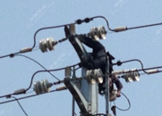 一男子爬上了高压电塔，触电身亡
