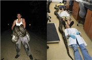 美国佛罗里达州发现最长缅甸蟒：体长5.7米