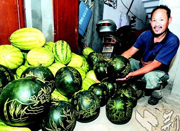 瓜农用指甲在西瓜上绘画 一天卖出两千斤