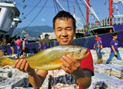5斤野生大黄鱼再现石浦码头 专家称至少活了七八年