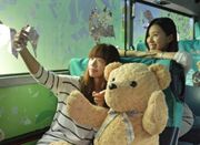 台南推出泰迪熊公交车 上路8天2只泰迪熊失踪