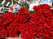 【2.11早安余姚】史上最贵情人节 99朵红玫瑰开价上千