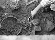 温州永嘉发现千年古墓 出土笔洗等文房用具