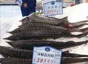 网曝温州某超市出售“中华鲟” 比白对虾还便宜