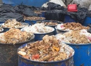 上海多地餐厨垃圾违规卖给养殖场 喂猪吃肯德基