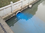马渚镇马云路小河排出蓝色废水