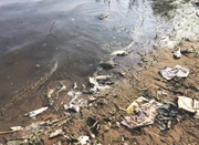 游客河边烧烤致排水口被污染