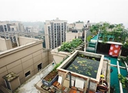 重庆一小区内乱搭建严重 23层楼顶建游泳池