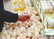 今年以来跌跌不休 鸡蛋价格创出近两年新低