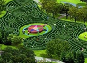 浙江最大植物迷宫12月开放 门票预计在58元/人