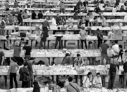 宁波最大规模书展开幕 爱读书的市民看过来