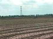 余姚表土剥离再利用常态化 一年育肥780亩新造地