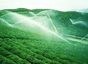 余姚一项农业节水技术推广至今节出18个东钱湖的水量