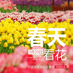 【宁波东钱湖郁金香节】最是踏春好时节，和小编一起当一回“采花大盗”吧！
