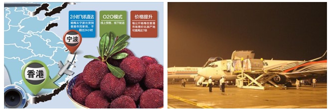 宁波杨梅大批量出口香港 飞机2小时送达身价涨7倍
