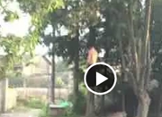 昨日网友爆料在树上吊死的男子 系28岁四川籍男子