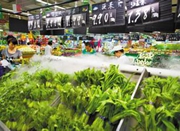 宁波8月CPI同比涨1.5％ 海鲜便宜不少蔬菜仍贵