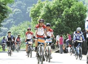 甬城参与骑行健身者已超3万 多数为夜骑爱好者