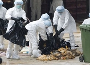 江苏上月54人感染H7N9禽流感 三大原因让病例激增