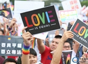 台湾同性婚姻专法曝光：双方书面约定“谁夫谁妻”